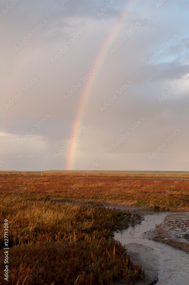 Rainbow over Westerhever Field