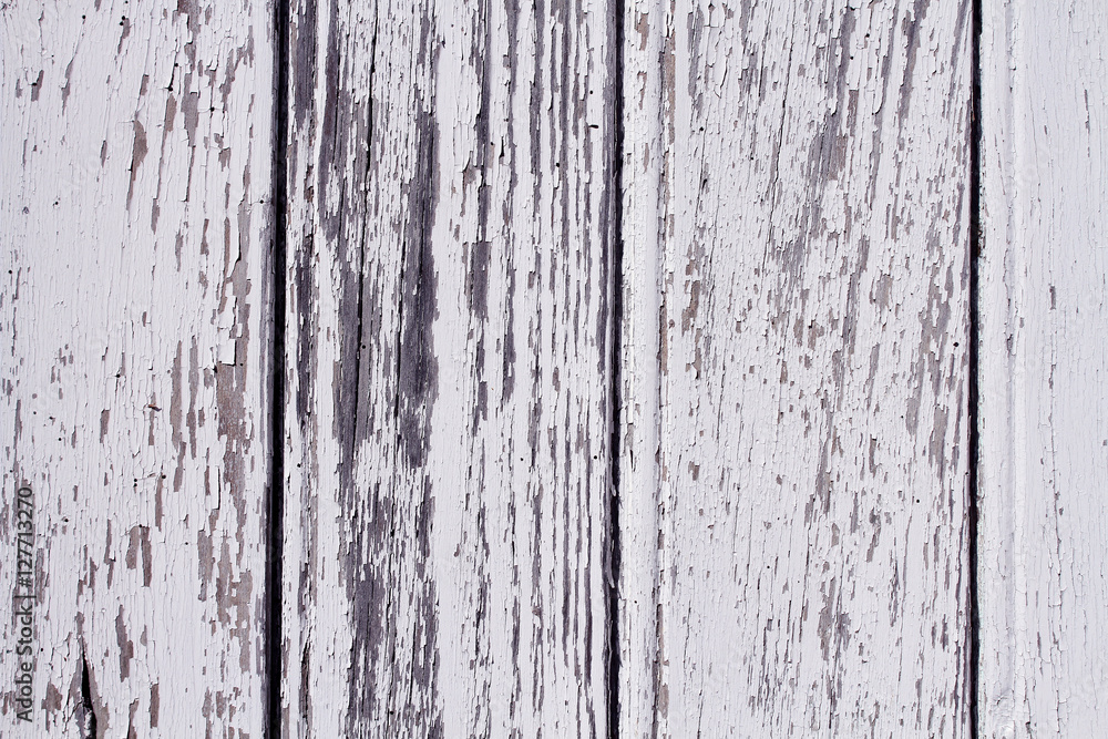 texture texture