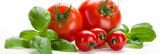 frische tomaten mit frischem basilikum