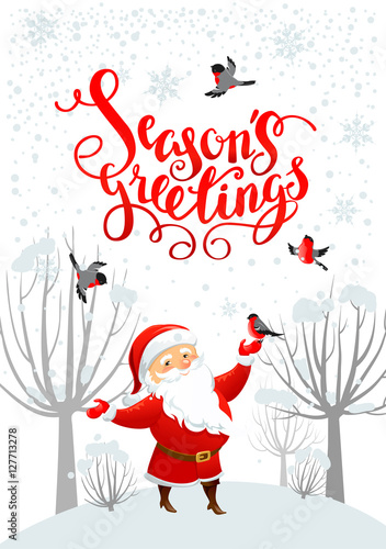 Santa, snow and bullfinches