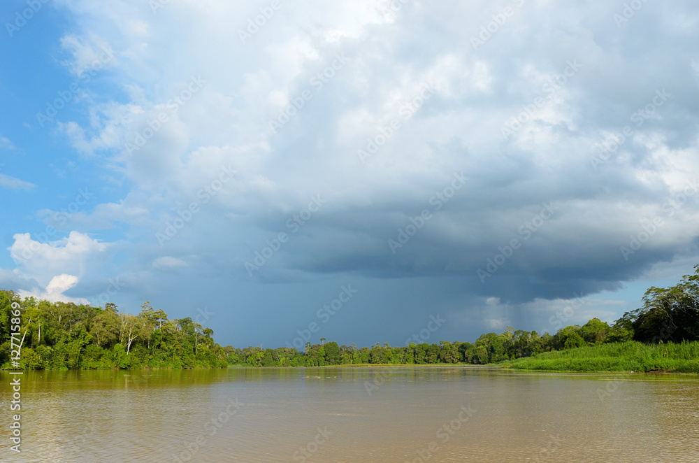 Kinabatangan river, nature of Malaysia, rainforest and jungle of Borneo island
Kinabatangan river, nature of Malaysia, rainforest and jungle of Borneo island