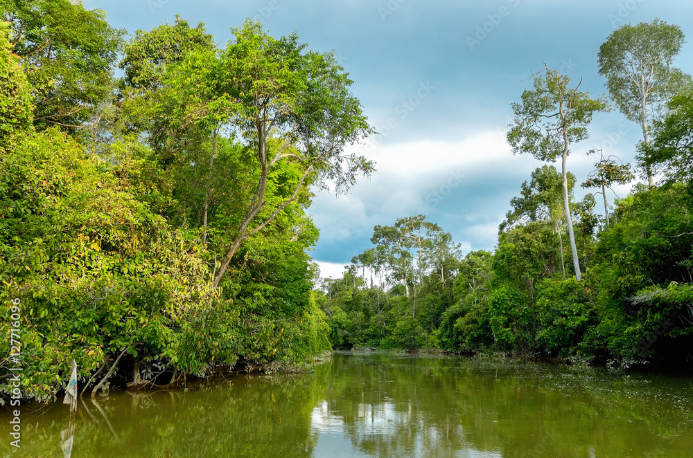 Kinabatangan river, Malaysia, rainforest of Borneo island
