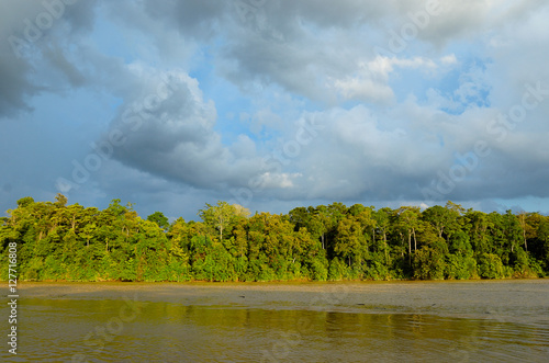 Kinabatangan river, Malaysia, rainforest of Borneo island 