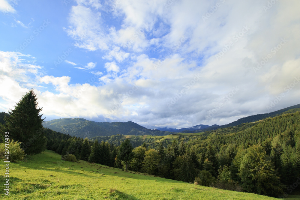Gree mountain landscape with cloudy blue sky and coniferous forest