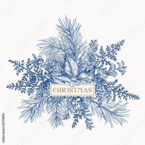 Christmas frame with pine, holly and ferns.