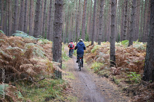 Radfahrer im Darßwald