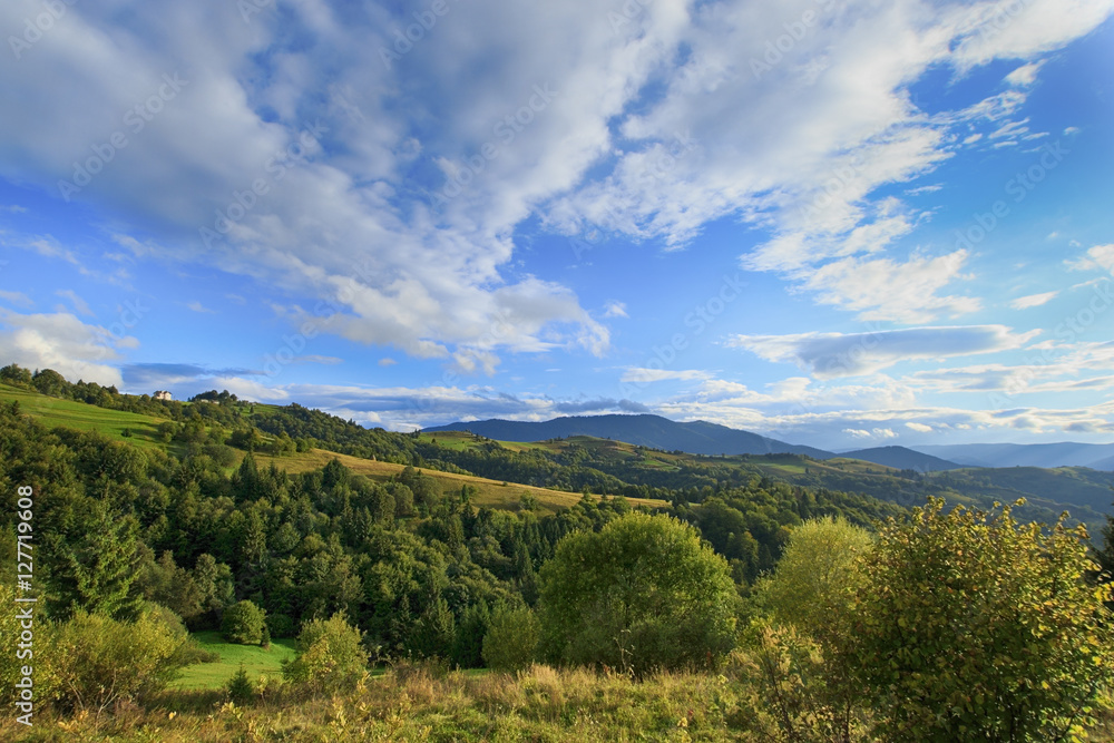 Carpathian mountain landscape with autumn plants and cloudy sky