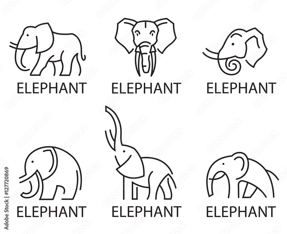Obraz premium monochrome collection of elephant logos