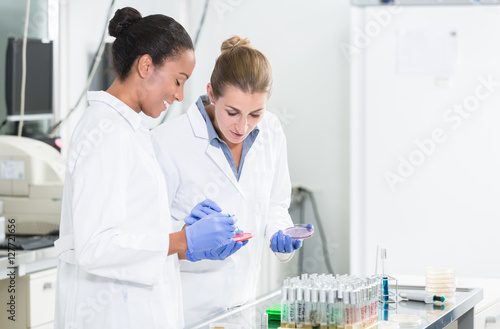 Women in research laboratory talking about tests on germ samples