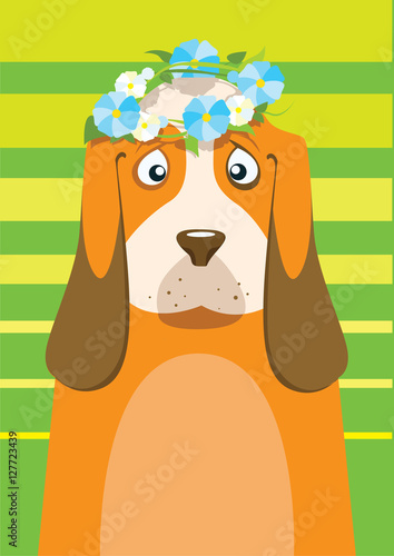 Basset hound with flower wreath on head over green background