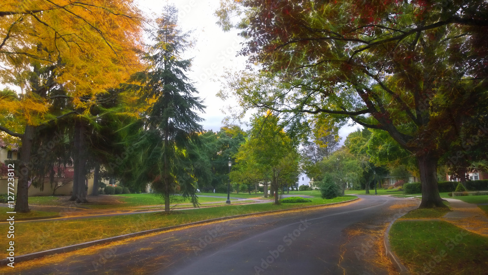 suburban neighborhood in autumn suburban neighborhood in autumn