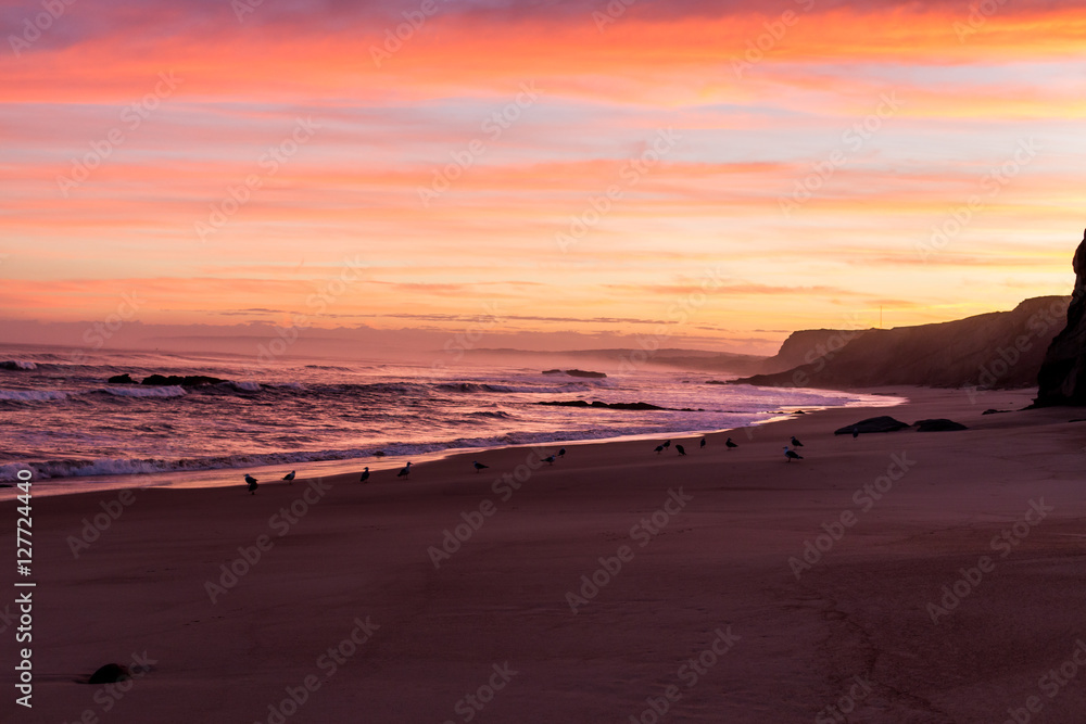 Little birds enjoying the red sunrise over Baleal Beach, Portugal