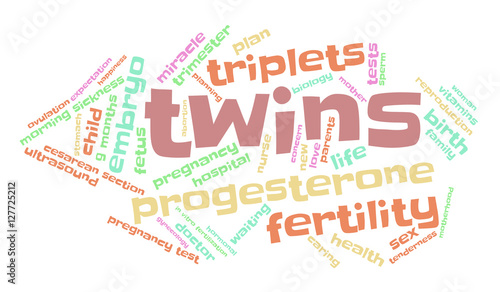 Twins. Word cloud, multicolored font, white background. The miracle of birth.