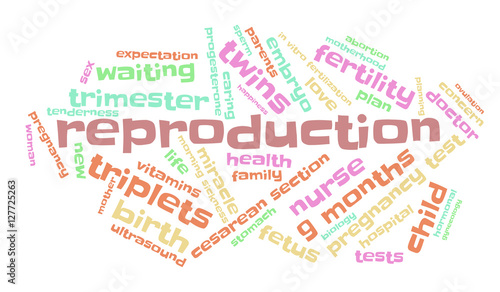 Reproduction. Word cloud, multicolored font, white background. The miracle of birth.