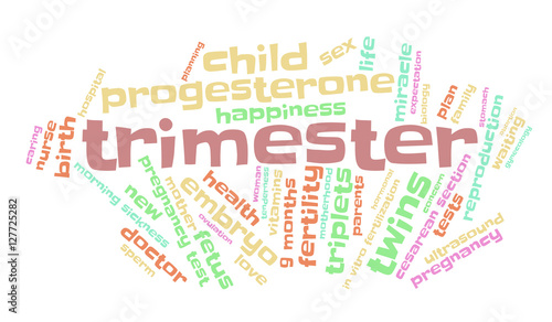 Trimester. Word cloud, multicolored font, white background. The miracle of birth.