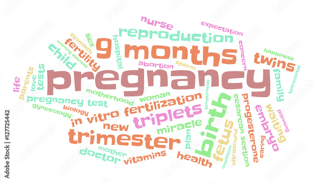 Fototapeta premium Pregnancy. Word cloud, multicolored font, white background. The miracle of birth.