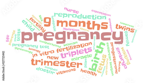 Pregnancy. Word cloud, multicolored font, white background. The miracle of birth.