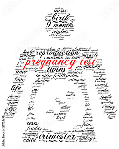 Pregnancy tests. Word cloud, silhouette of a pregnant woman, italic font, white background. The miracle of birth.