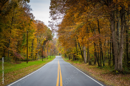 Autumn color along Carmichael Road, near Wye Island, Maryland. © jonbilous