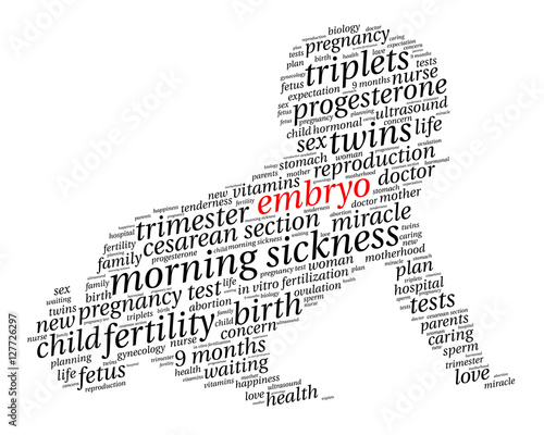 Embryo. Word cloud, baby silhouette, italic font, white background. The miracle of birth.