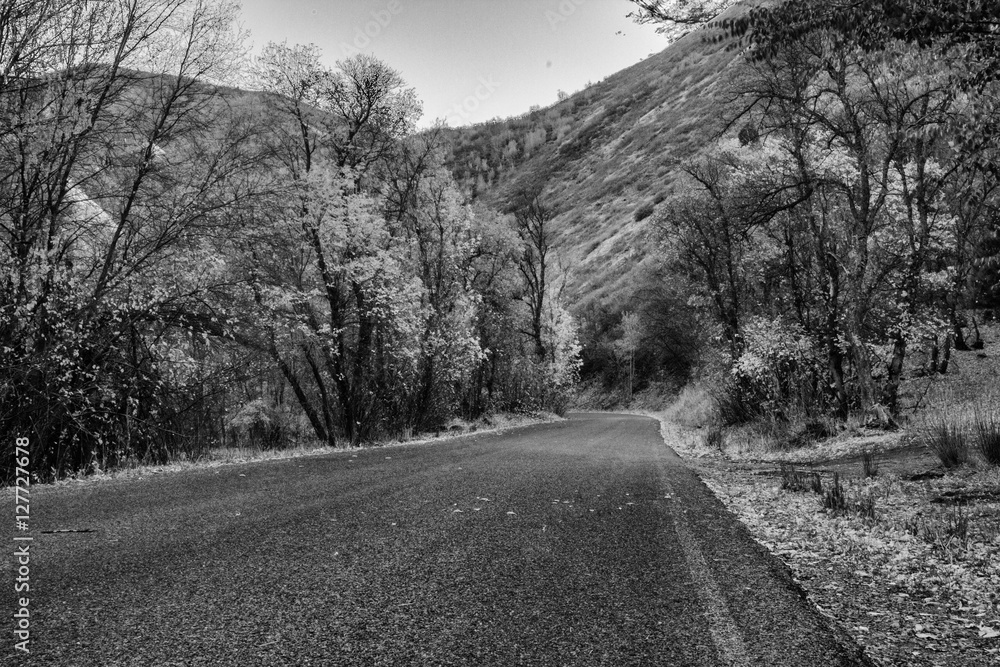 Hobble Creek Highway Stock Photo Adobe Stock