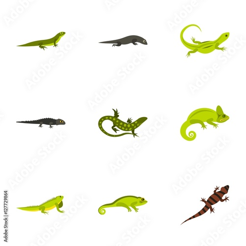 Chameleon icons set. Flat illustration of 9 chameleon vector icons for web