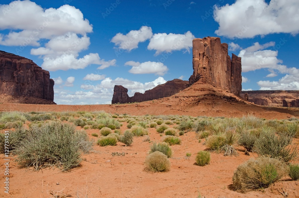 Monument Valley at springtime