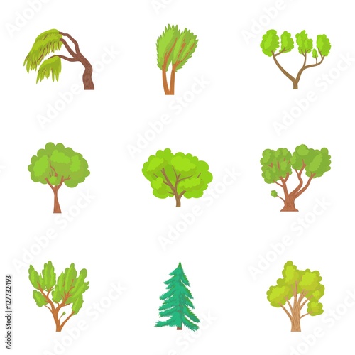 Woody plants icons set. Cartoon illustration of 9 woody plants vector icons for web
