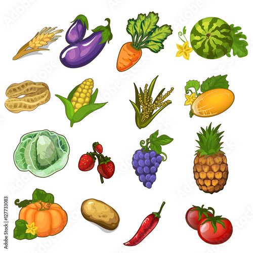 Big vector set of vegetables, berries and fruits