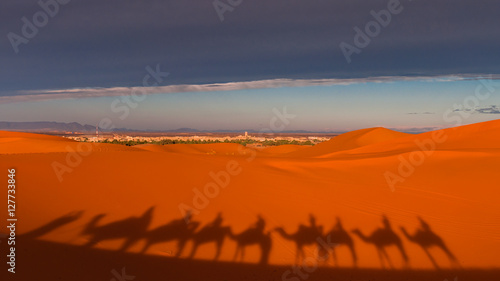 Schatten einer Karawane in den D  nen der Sahara vor Merzouga  Erg Chebbi   Marokko