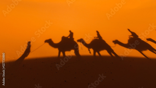 Schatten einer Karawane in den D  nen der Sahara vor Merzouga  Erg Chebbi   Marokko