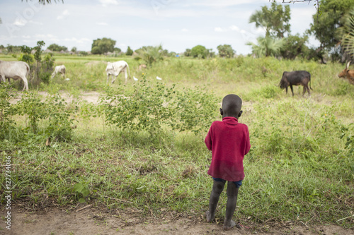 African child and cattle © Wollwerth Imagery