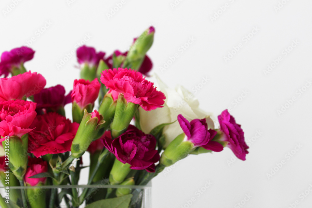 Bouquet of pink carnations flowers Bouquet of pink carnations flowers