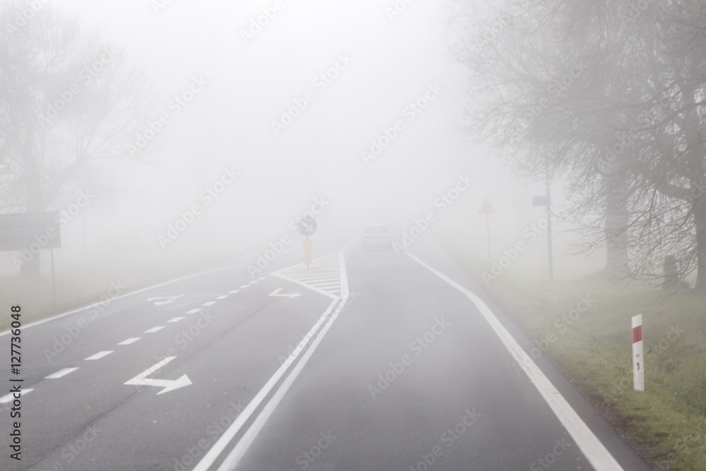  driving the Fog Road