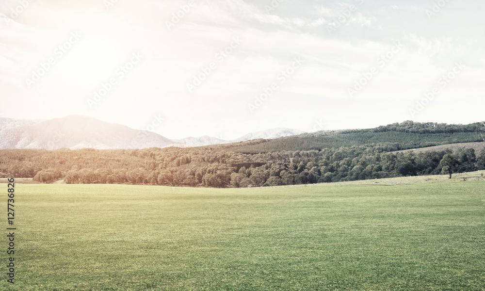 Obraz premium Green summer paradise