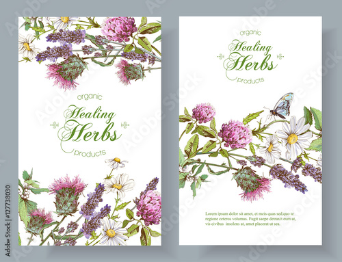Vector herbal banners