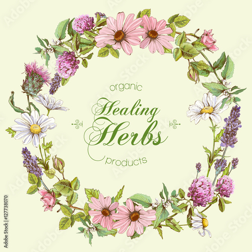 Vector herbal banners