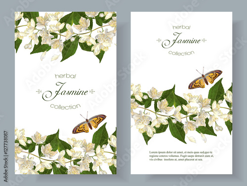 Jasmine flower banners