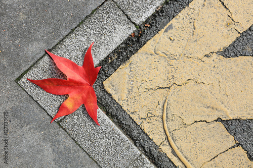 hoja roja en el suelo sobre una flecha pintada en amarillo otoño U84A9167-f16 photo