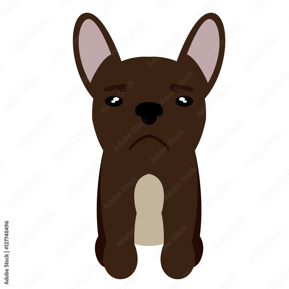 Isolated dog Isolated dog