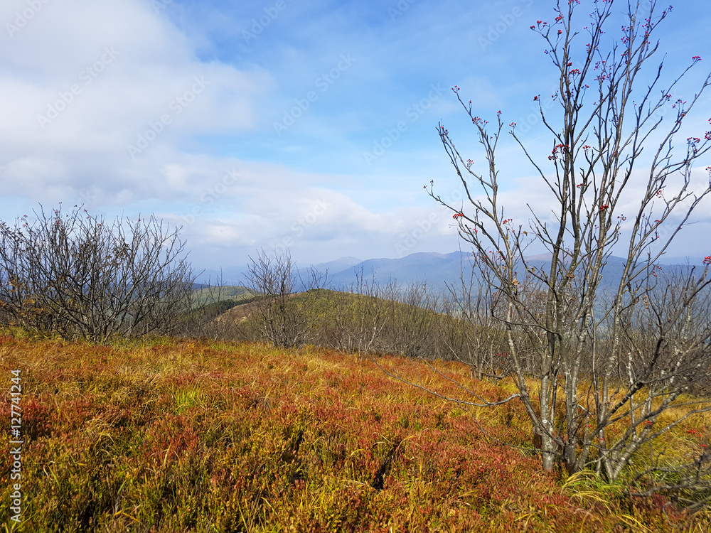 Autumn in Bieszczady Mountains, Poland.Bieszczady are part of Beskid mountains which a part of Catpathian range. Autumn in Bieszczady Mountains, Poland.Bieszczady are part of Beskid mountains which a part of Catpathian range.