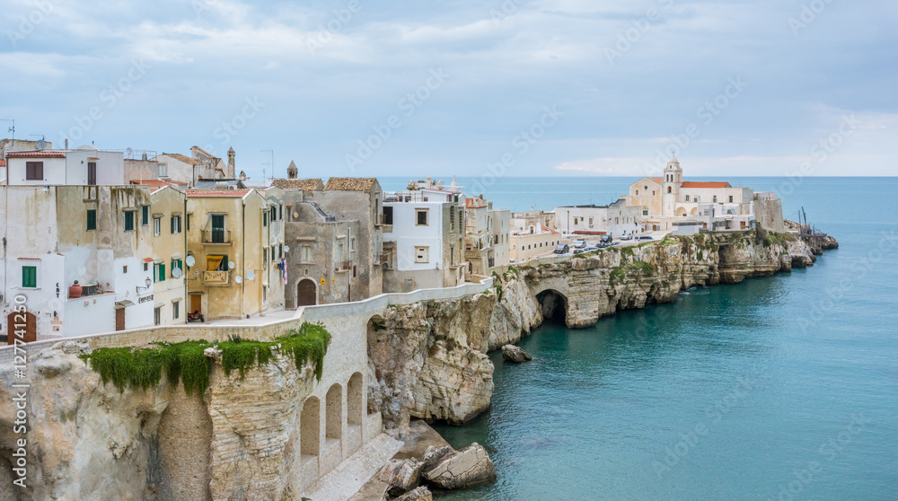 Scenic view of Vieste, the famous 