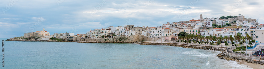 Fototapeta premium Panoramic view of Vieste, the famous