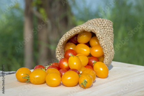 Fototapeta Naklejka Na Ścianę i Meble -  Small Red and Yellow tomato.