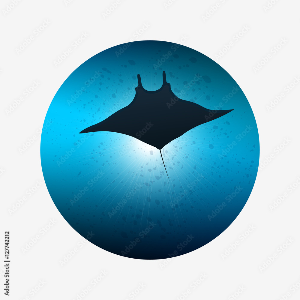 Big manta ray in ocean water. Underwater life.