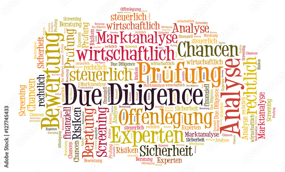Fototapeta premium Due Diligence word cloud