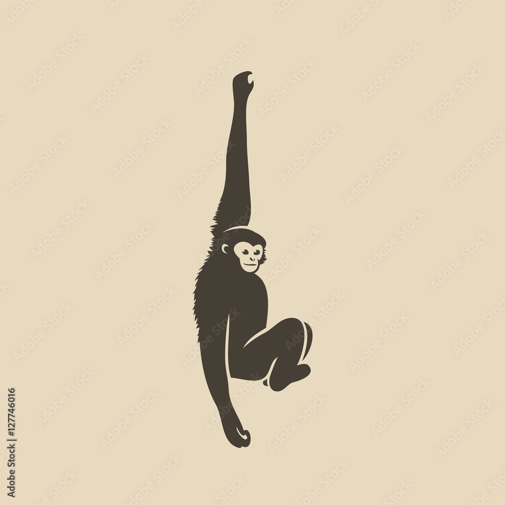 Fototapeta premium Gibbon