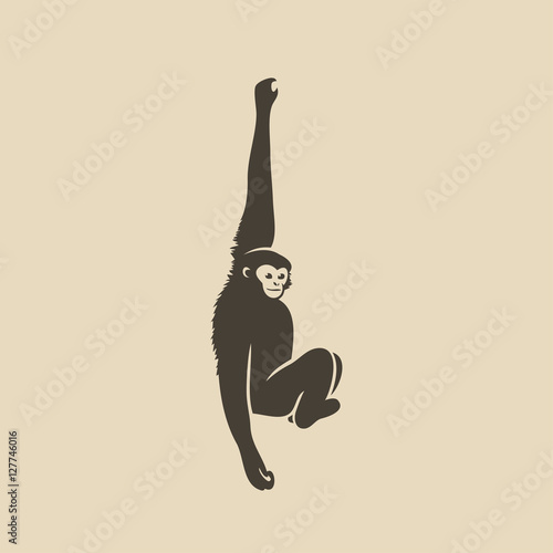 Gibbon