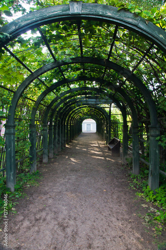 path in green arch in park © mskphotolife