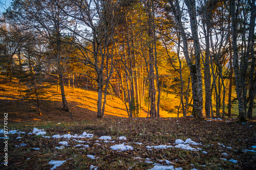 Landscape  of the Kislovodsk Resort Park, Russia. photo